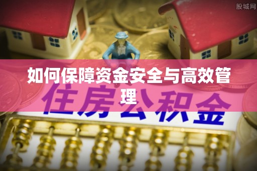 团风如何保障资金安全与高效管理