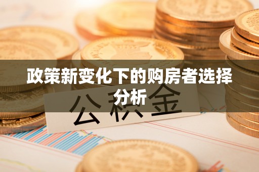 团风政策新变化下的购房者选择分析