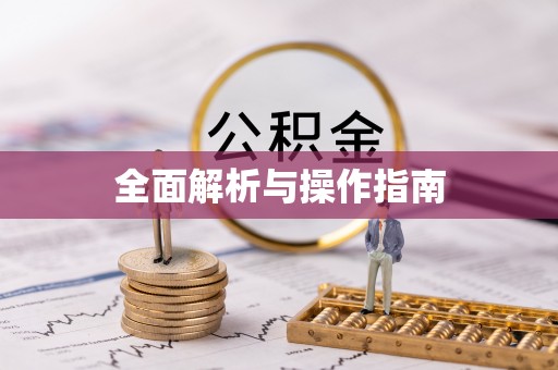 团风全面解析与操作指南